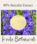 Baikal Skullcap 85% baicalin Extract Powder 250g